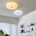 Modern Ceiling Lamp - Round LED Fixture for Bedroom, Living Room, and Hallway