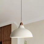 Modern Hanging Lamp with Wooden Accent – Minimalist Design