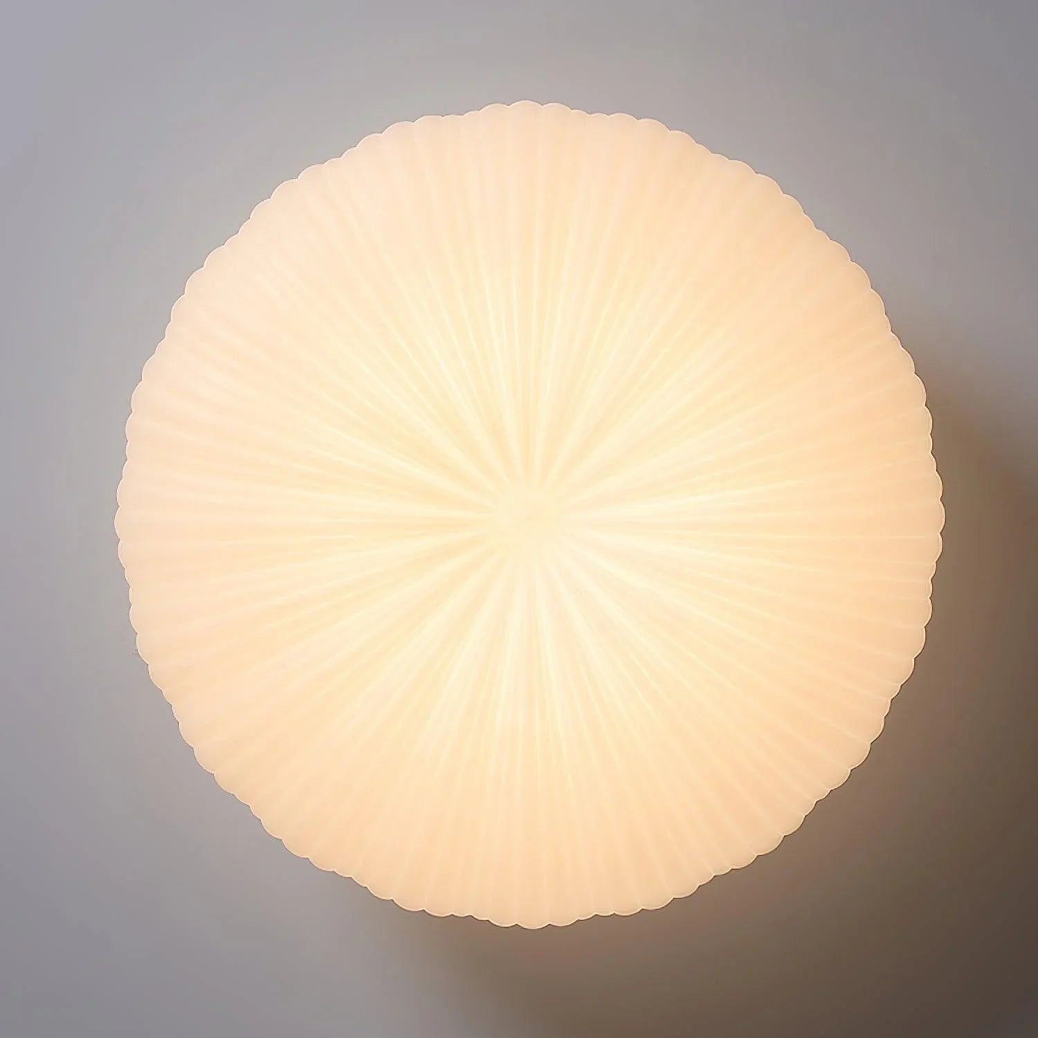 Modern Dome Ceiling Lamp – Inspired by Shell, Japandi Style