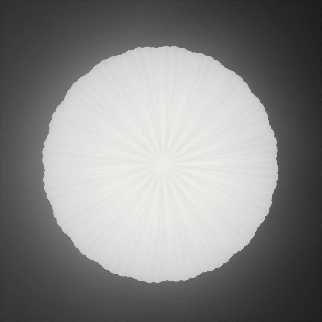 Modern Dome Ceiling Lamp – Inspired by Shell, Japandi Style