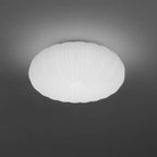 Modern Dome Ceiling Lamp – Inspired by Shell, Japandi Style