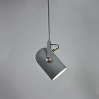 Modern Adjustable Pendant Lamp – Colorful Designer Ceiling Light