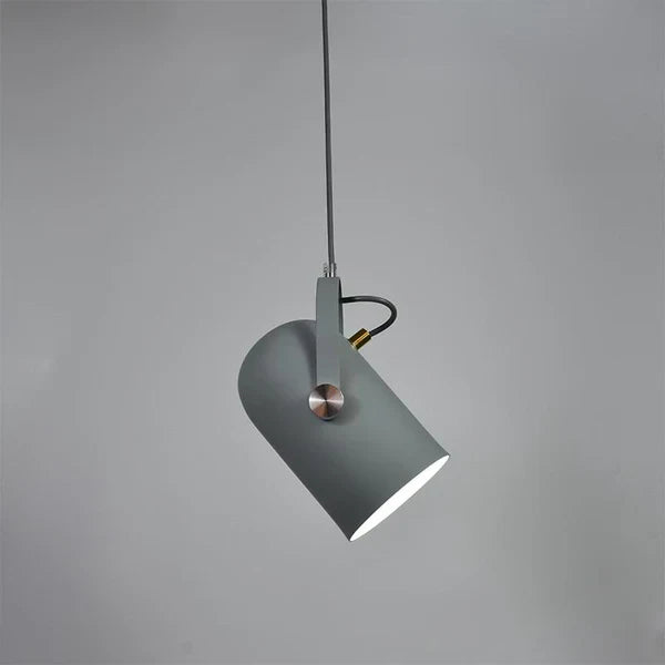 Modern Adjustable Pendant Lamp – Colorful Designer Ceiling Light