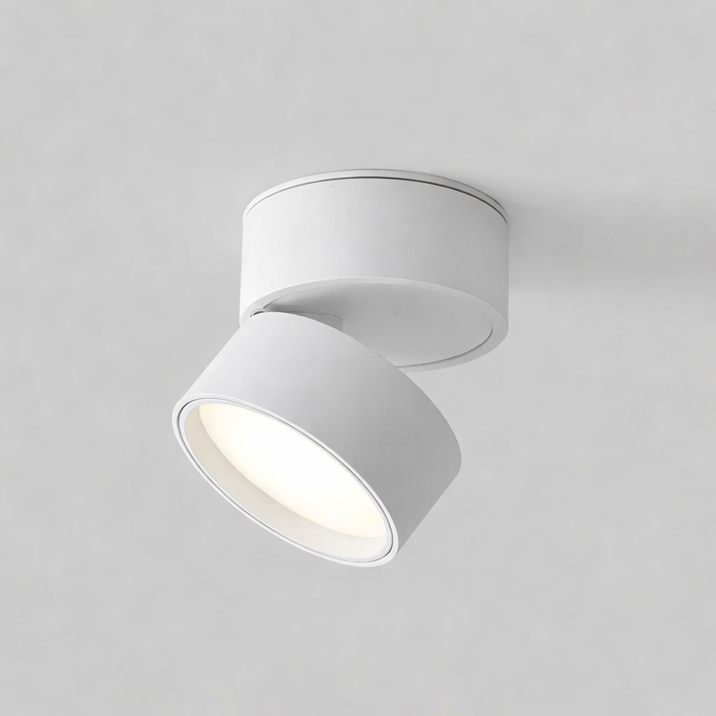 Modern Adjustable LED Ceiling Lamp