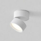 Modern Adjustable LED Ceiling Lamp
