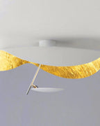 The Solar Mirror