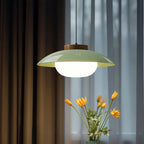 Modern Glass Pendant Lamp – Minimalist Design with Wooden Accent