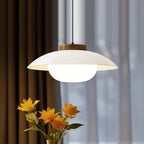 Modern Glass Pendant Lamp – Minimalist Design with Wooden Accent